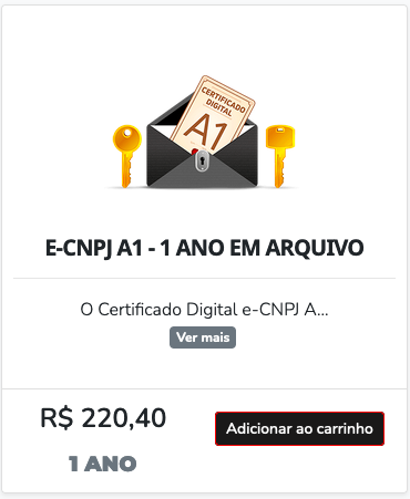 e-CNPJ A1 Arquivo - 12 Meses